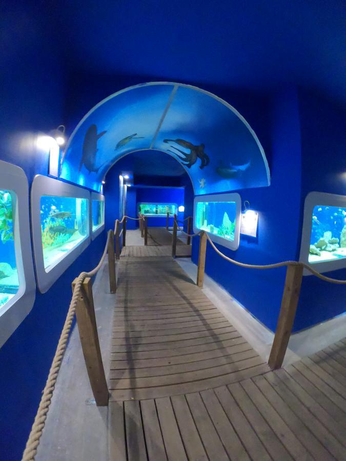 Bed and Breakfast Dolphin House à Łeba Extérieur photo